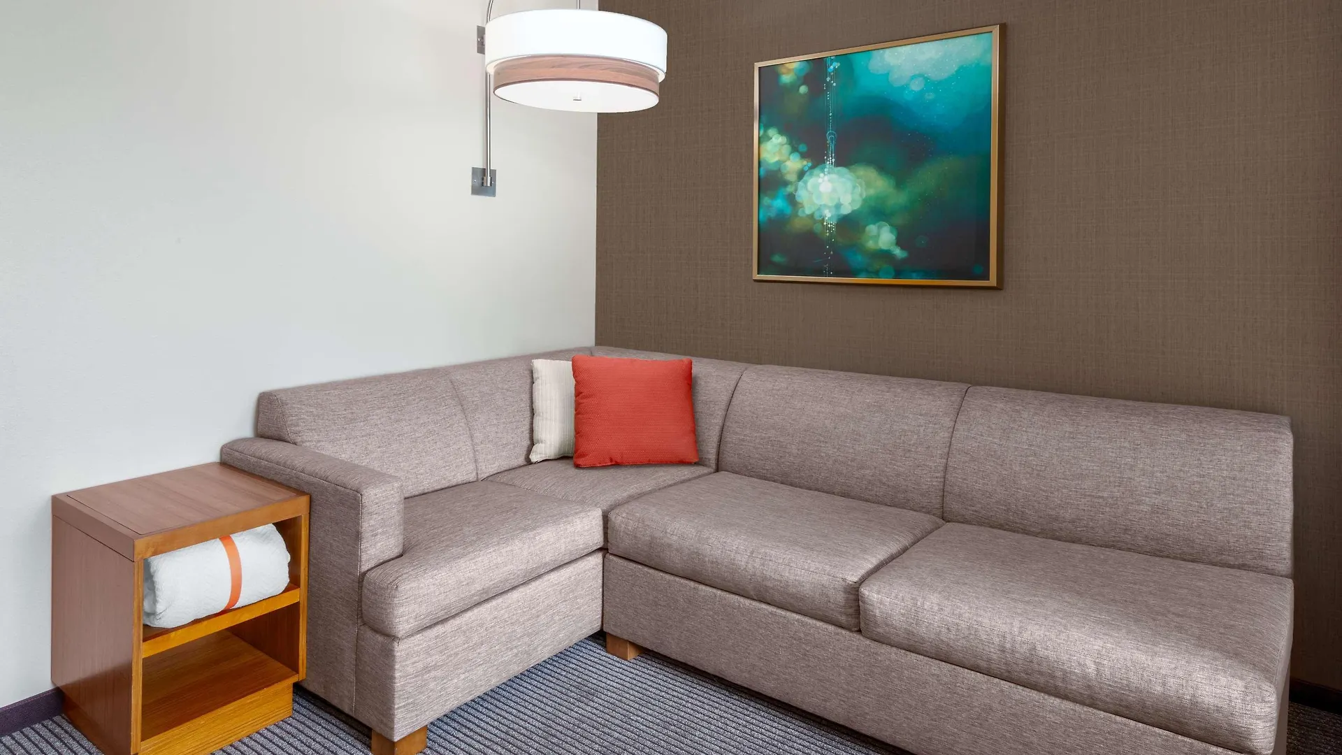 Hyatt Place Denver Downtown 3*,  United States