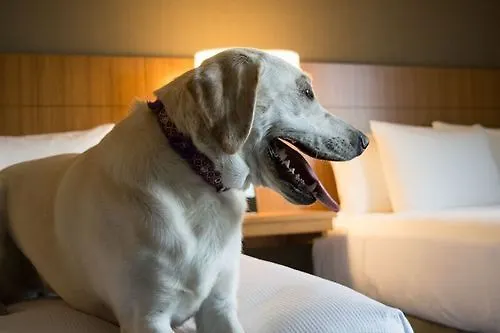 Hyatt Place Denver Downtown Hotel